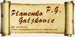 Plamenko Galjković vizit kartica